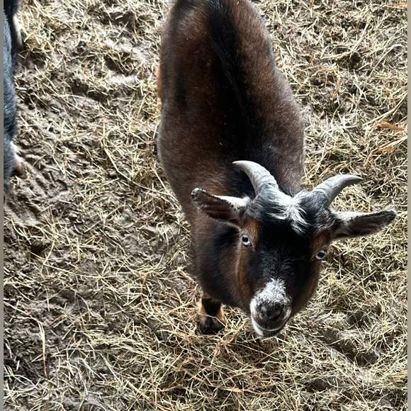 Meet your Posher, Julia - Picture 7 of 9